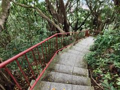 -小南山公园