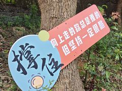 -平湖九龙山旅游度假区