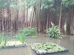 -捞渔河湿地公园