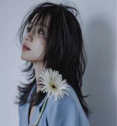 -SY COLOUR专业烫染