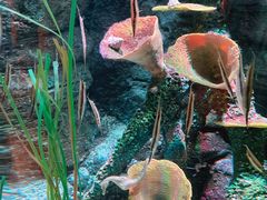 -沈阳海洋探索中心