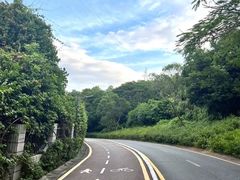 -梧桐山风景名胜区