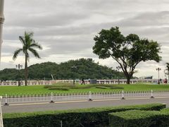 -野狸岛