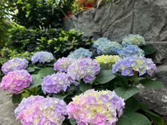 -田园印象·成都土菜院子(华阳店)