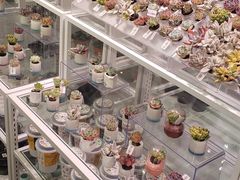 -KKV(天津津南吾悦广场店)