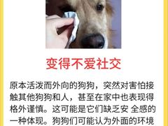 -瑞派名望24h动物医院异宠专科·猫专科·骨科·重症监护分院