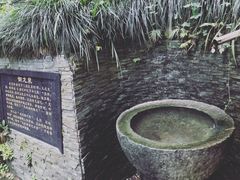 -十八棵（老龙井）御茶园(老龙井店)
