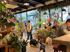 -自由生长植物工作室(深港花卉中心店)