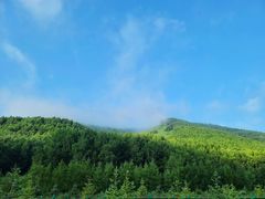 -塞罕坝国家级自然保护区