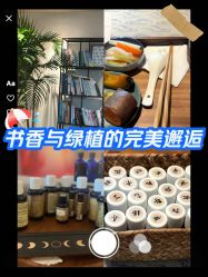 -芳香乐府疗愈空间·SPA·冥想