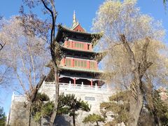 -迎泽公园