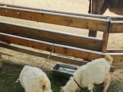 -HERRE·FARM 赫尔露营农场·团建聚会包场