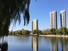 -沈阳南湖公园