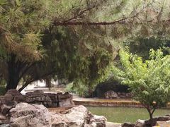 -团结湖公园