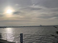 -贡湖湾湿地公园