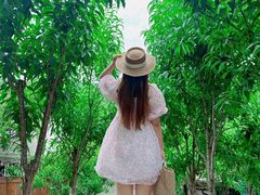 -桃源山庄·水蜜桃采摘·柴火鸡·烧烤团建(龙泉山店)