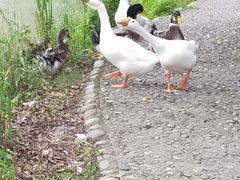 -成都中医药大学(温江校区)