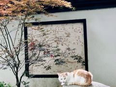 -郑和公园