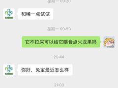 -雨林宠物医院 非犬猫异宠专科