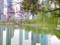 -西北湖绿化广场