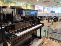 -柏斯琴行(汾阳店)