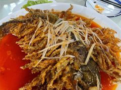 金毛狮子鱼-石饮红星包子(中山路店)