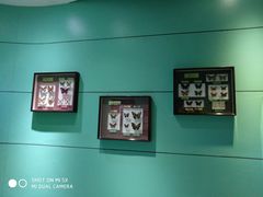 -上海昆虫博物馆