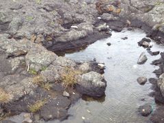 -龙头岩(Dragon Head Rock)