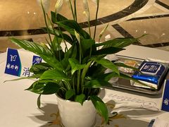 -粤珍轩.创始店.始于2001(含光门店)