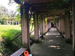 -青岛德国总督楼旧址博物馆