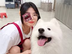 -星多哈·狗咖·拼豆·咖啡