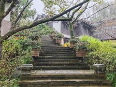 -中国茶叶博物馆(双峰馆区)