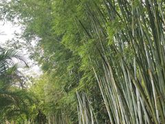 -林丰温泉度假山庄