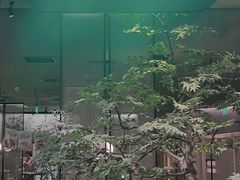 -绿茶餐厅(北京世纪金源店)