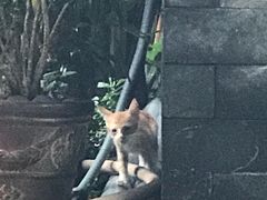 -100蛋泥浆浴