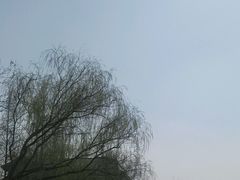 -食膳公园包子铺(烈士公园店)