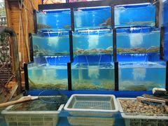 海鲜-老东镇啤酒屋海鲜加工·蒸汽海鲜·海鲜烧烤(台东店)