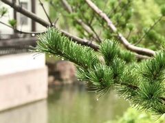 -尚湖风景区