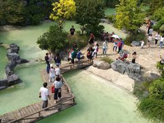 -吴淞炮台湾湿地森林公园烧烤区