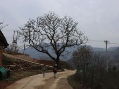 -秦岭风景区
