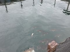 -南丫岛