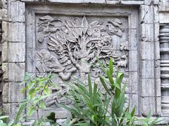 -奥兰多迪士尼动物王国乐园