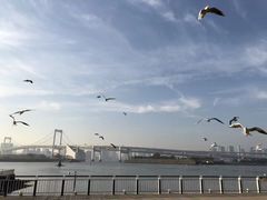 -台场海滨公园船码头