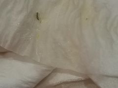 -蔡阿水羊肉店