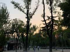 -莲湖公园