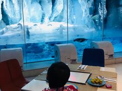 -帝企鹅自助餐厅•儿童岛•真企鹅(长隆企鹅酒店)