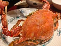 -开海·红岛海鲜虾水饺(石老人店)