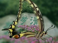 -苏州河梦清园环保主题公园