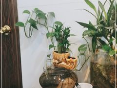 -光明渔港(海悦天地店)