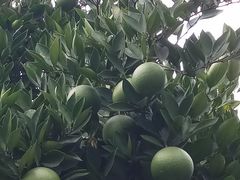 -杭州城北体育公园